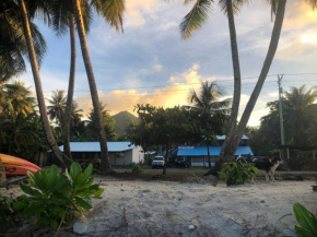 Island Hopper